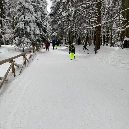 Gorska Osada 21 アパート