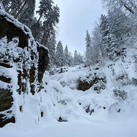 Gorska Osada 21 アパート