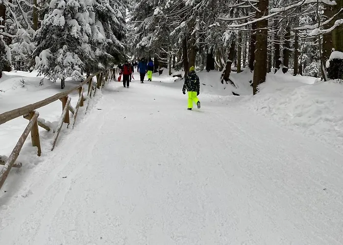 Gorska Osada 21 Apartment