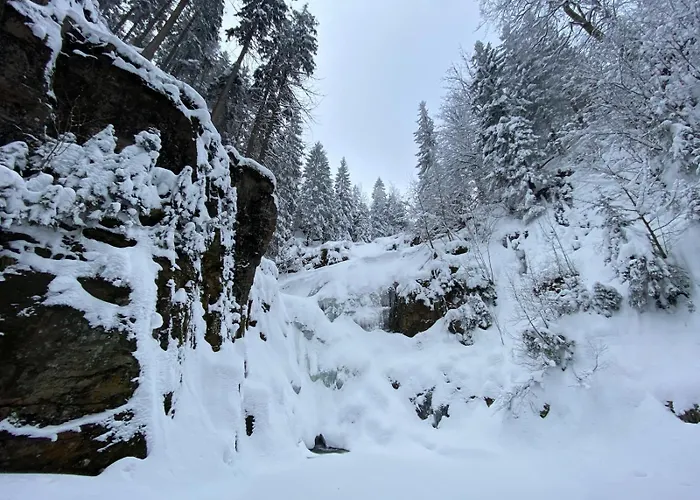 Gorska Osada 21 Apartment